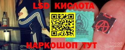 дмт Гатчина