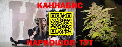 дмт Гатчина