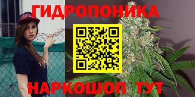 мдпв Гай