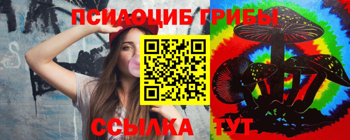 Галлюциногенные грибы Psilocybe  Вход с VPN  Ипатово 