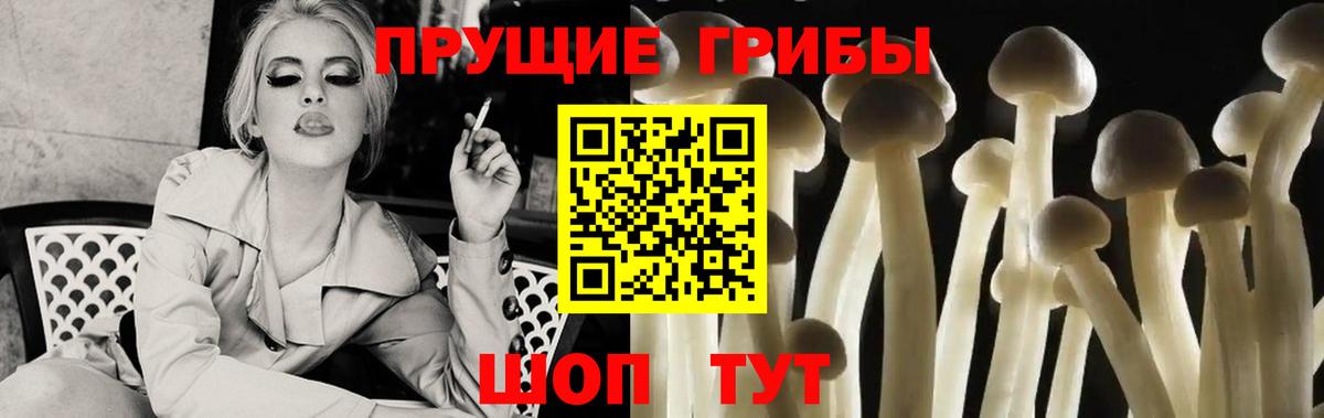 Псилоцибиновые грибы ЛСД Ипатово